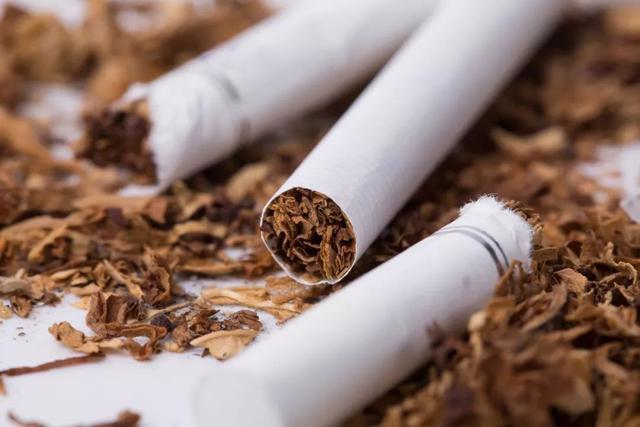 烟丝用的海绵头和烟纸，传统晒烟说说秋季对于烟丝的保存建议，关于手卷烟丝海绵头的长度剪切问题