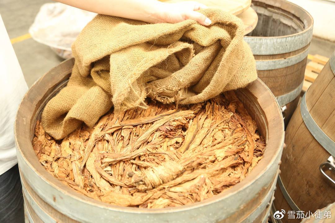 传承百年的“三大发酵技艺：什邡烟叶古法秘制：糊米发酵法，烟丝蒸后有什么效果？什邡最好的糊米叶子烟